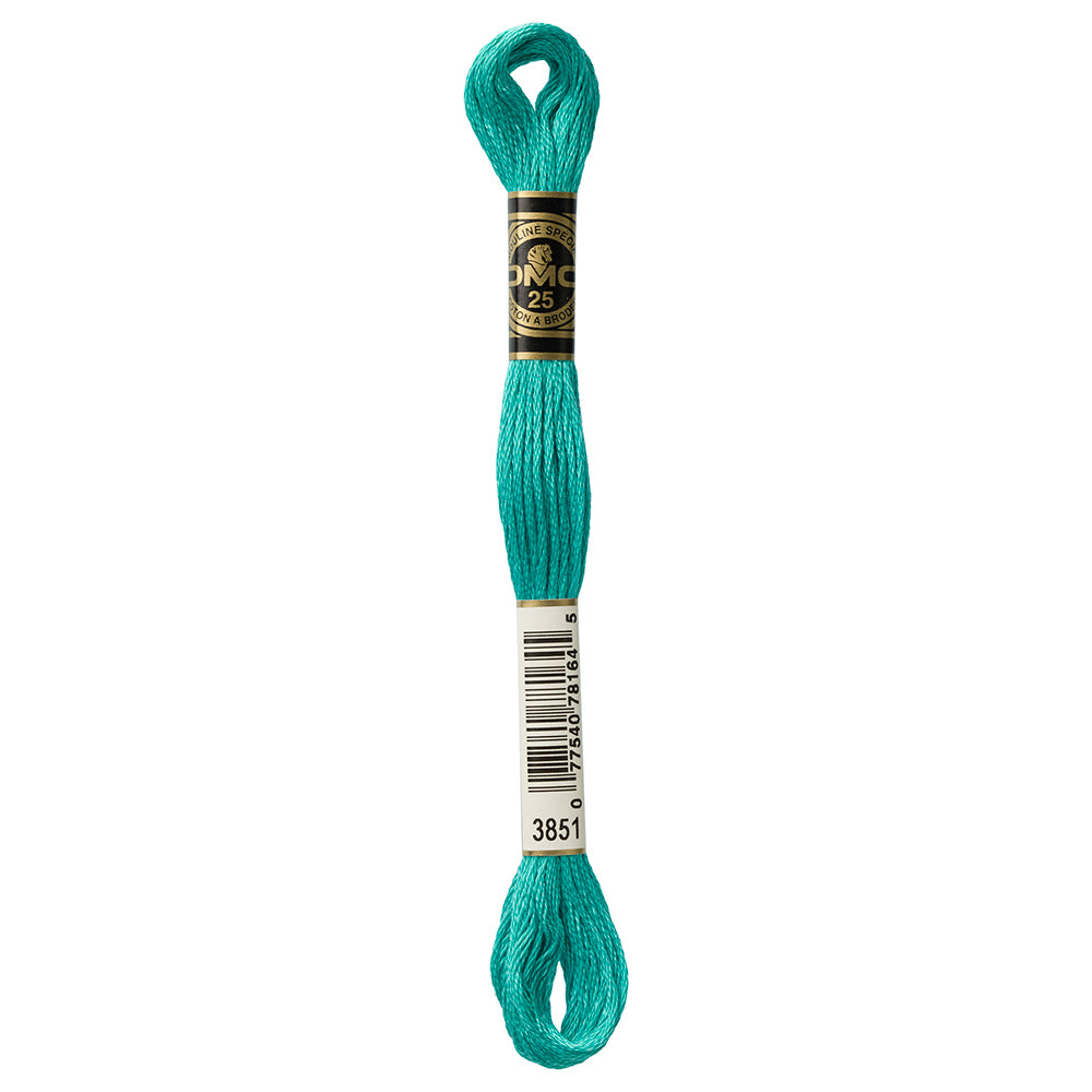 DMC Six Strand Embroidery Floss