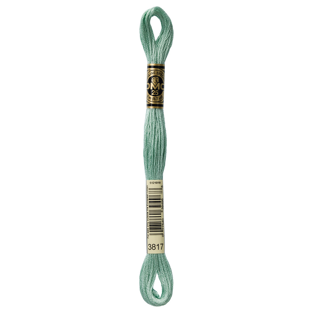 DMC Six Strand Embroidery Floss