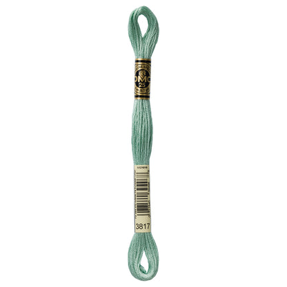 DMC Six Strand Embroidery Floss