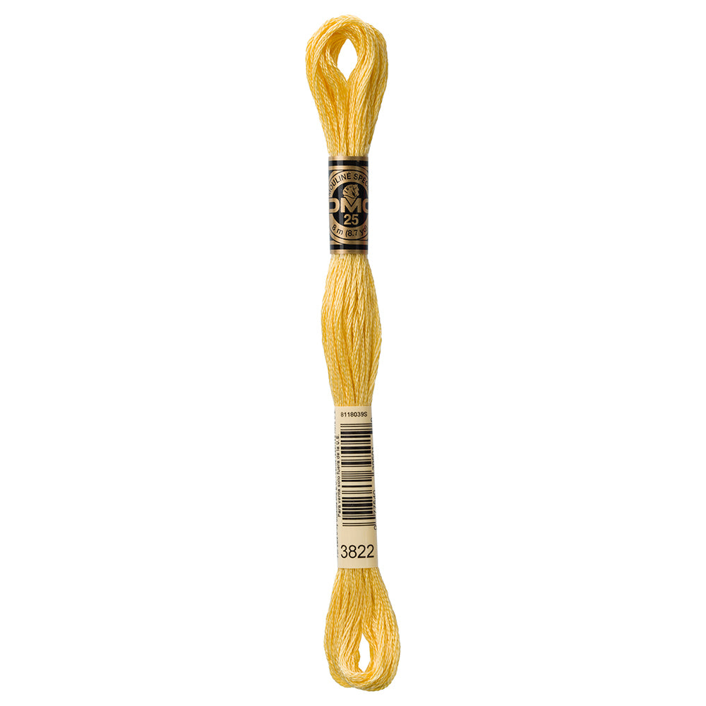 DMC Six Strand Embroidery Floss