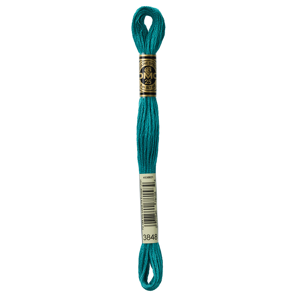 DMC Six Strand Embroidery Floss